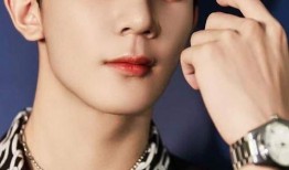 圈内爆料r1se,揭秘偶像背后的故事与成长历程